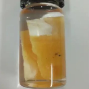 黄磷